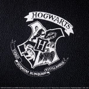 2018年11月発売Harry Potter 特別付録SATCHEL BAG