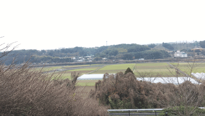 熊本の風景