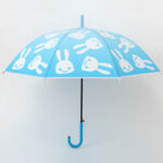 ローソン限定ムック本CUNE(R) UMBRELLA BOOK 2025年5月発売